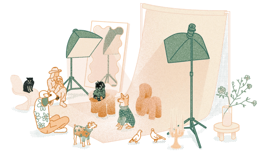Cashmere Paw's beginnings in Mongolia